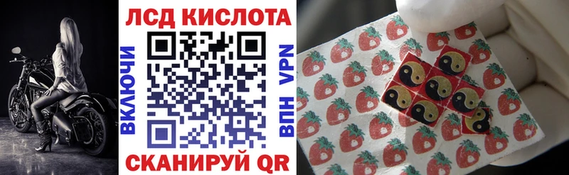 Купить закладки  Североморск  Наркотические марки 1,5мг 